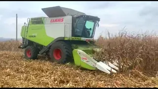 CLAAS LEXION 670 + CORIO CONSPEED 870C