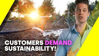 What is sustainability and what can companies do about it?
