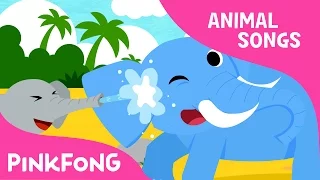 Tuan Gajah yang Menyenangkan | Gajah | Lagu Binatang | Lagu Pinkfong untuk Anak