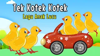 Tek Kotek Kotek - Lagu Anak Lucu - Lagu Anak Indonesia Populer - Animasi Ayam Lucu