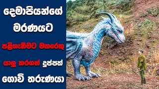 "Dragonheart: Vengeance” සිංහල Movie Review | Ending Explained Sinhala | Sinhala Movie Review