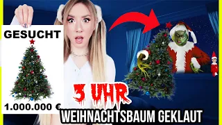 frecher GRINCH klaut Bekis WEIHNACHTSBAUM 3 Uhr Nachts & zerstört WEIHNACHTEN (niemals DIY makeover)