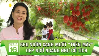 Khu vườn xanh mướt “TRÊN MÂY” đẹp ngỡ ngàng như CỔ TÍCH | Làm nông trong phố | VTC16