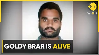 US police rebut reports of gangster Goldy Brar's murder, says he is alive | WION