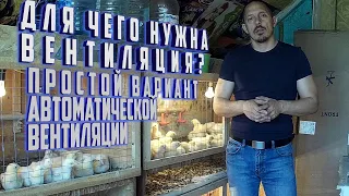 (ч.10)Вентиляция для выращивания бройлеров. Простой вариант автоматической вентиляции.