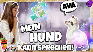 Mein Hund kann plötzlich sprechen 😱 Via findet verzauberte Leckerli zu Halloween 💜 Alles Ava