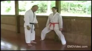 SHOTOKAN MASTERS - Sensei Shunsuke Takahashi