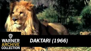 Preview Clip | Daktari | Warner Archive