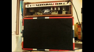 Peavey 6505+ 112 + Celestion V30