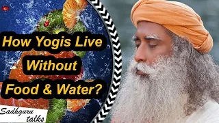 How Yogis Live Without Food And Water? - Sadhguru at Prathima Institute of Medical Sciences