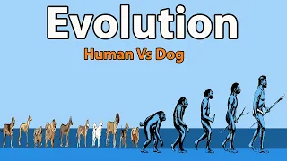 Human vs Dog Evolution Size Comparison 2024 | Human Vs Dog Extinct