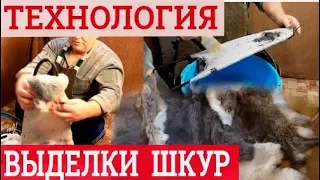 Как выделать шкурку кролика. Технология выделки шкуры