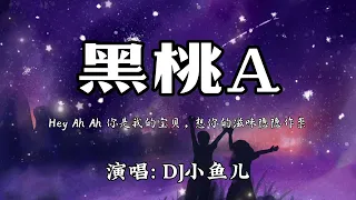 【Loop 1 hour】DJ小鱼儿 - 黑桃A 『Hey Ah Ah 你是我的宝贝，想你的滋味隐隐作祟。』🎵【动态歌词Lyrics video】#超好听 #music #lyrics #pinyin