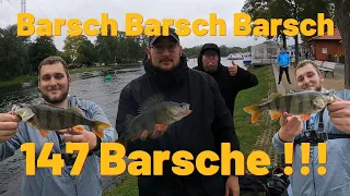 BARSCH BARSCH BARSCH !!!  (147 BARSCHE GEFANGEN)
