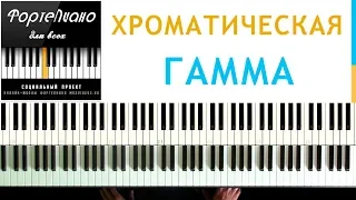 🎹 Фортепиано ДЛЯ ВСЕХ. Урок 5 - ХРОМАТИЧЕСКАЯ гамма.