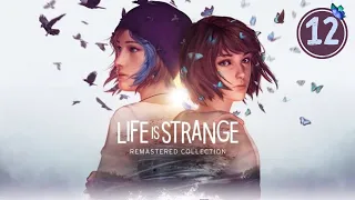 🦋 Life Is Strange Remastered | Жизнь странная штука Ремастеринг | Эпизод 4 "Проявочная" | Серия 12