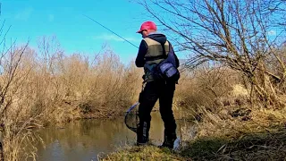 🎣 Am prins CLENI în luna FEBRUARIE pe RÂU - O partidă FRUMOASĂ de PESCUIT la SPINNING