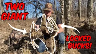 Massive Locked Deadheads 2023 Shed Hunting EP.2
