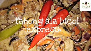 TAHONG ALA BICOL EXPRESS | SOBRANG SARAP AT MALASA!!Chum Chum Delish