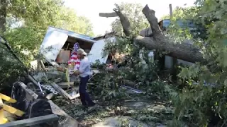 Home destroyed by fallen tree