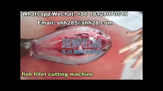 Automatic fish open back machine fish fillet cutting machine food machinery seafood machine