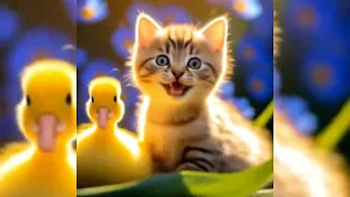 About kitties. Summer fun and funny moments of cute mischievous kittens.😂🙌💯Animation.