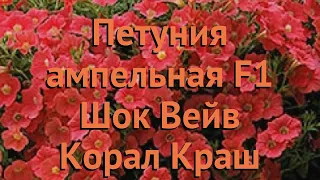 Петуния ампельная Шок Вейв Корал Краш 🌿 обзор: как сажать, семена петунии Шок Вейв Корал Краш