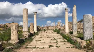 Древний город Саламис (Salamis)