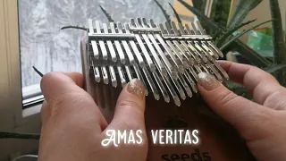 Amas veritas — Alan Silvestri | chromatic kalimba cover | хроматическая калимба