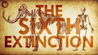 Are We Living In the Sixth Extinction?