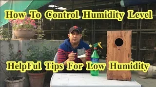 How To Control Low HUMIDITY LEVEL||Helful Tips About Humidity Level[Hindi/Urdu]