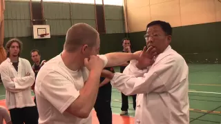 Bajiquan Applications - Wu LianZhi