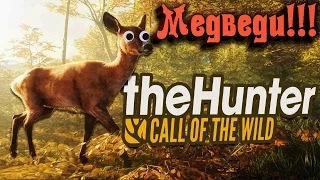 The Hunter Call of the Wild - Охота на медведя