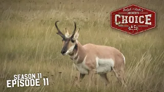 South Dakota Antelope Action - Archer’s Choice (Full Episode)  // S11: Episode 11