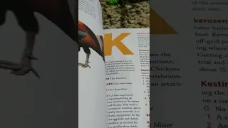 A CHICKEN ENCYCLOPEDIA!!!!!!