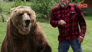 Wrestling A Grizzly Bear In My Garden to Jef Jon Sin No One's Around