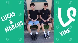 Lucas and Marcus NEW Vines 2016 - Vine Compilation