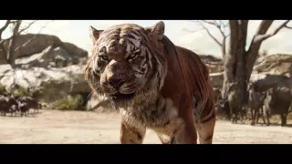 MPC Film Reel 2016