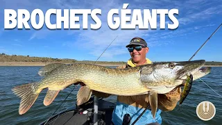 La pêche des brochets GÉANTS 😱 Comment trouver et capturer ces énormes poissons ???
