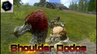 How to breed shoulder dodos|Arkmobile|