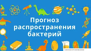 Как распространяются бактерии прогноз STEM STEAM урок