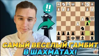 САМЫЙ ВЕСЕЛЫЙ ГАМБИТ В ШАХМАТАХ! 5 ЛОВУШЕК И Вы ЗАБУДЕТЕ О СКУКЕ!