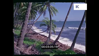 1960s, 1970s Tropical Island Beach, HD from 35mm | Kinolibrary