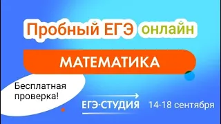 Разбор пробного ЕГЭ 2023  по математике | Анна Малкова | Пиши пробники БЕСПЛАТНО каждый месяц