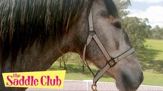 The Saddle Club - Horse of a Different Color Part I and Part 2 | Saddle Club Season 2 | Full Episode