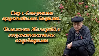Сад с близкими грунтовыми водами - телемост Железова с казахстанскими садоводами