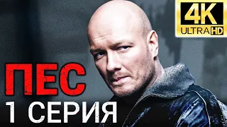 Сериал ПЕС - 1 серия - 1 сезон - Все серии подряд - Смотреть онлайн в хорошем качестве | 4К