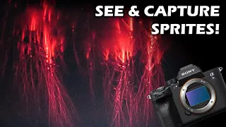 How to SEE and PHOTOGRAPH Sprites!