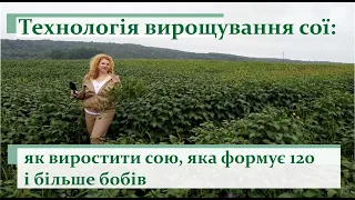 Технологія вирощування сої: як виростити сою, яка формує 120 і більше бобів. #ГалинаДзябяк