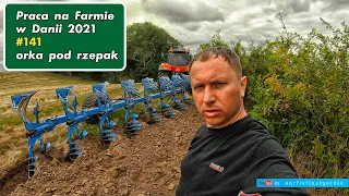 Praca na Farmie w Danii #141 orka pod rzepak #martinflashgordon